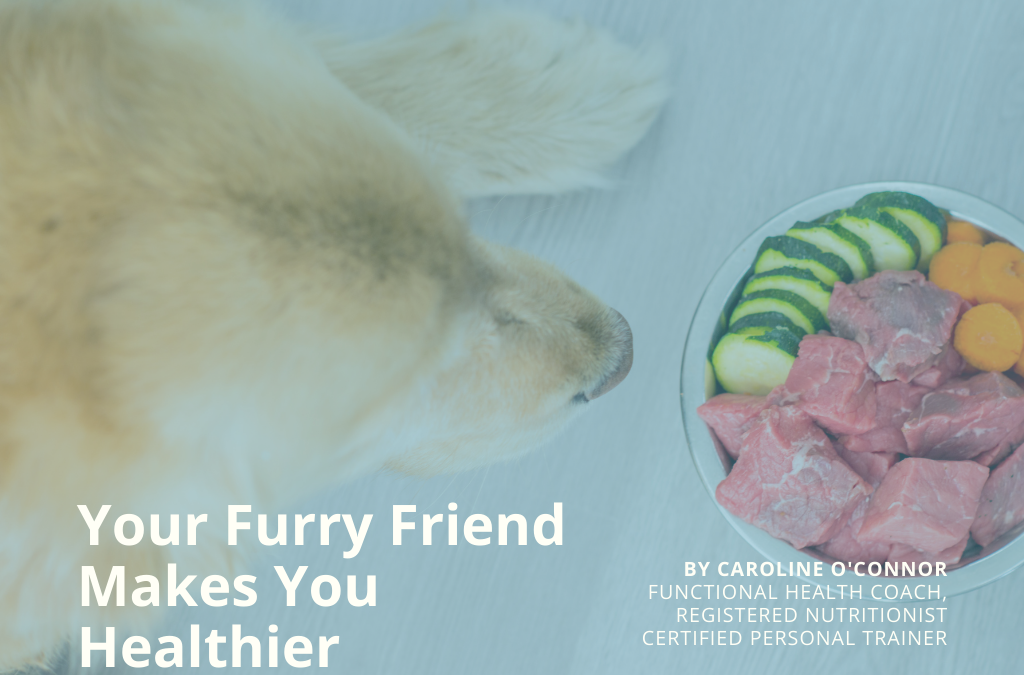 Your Furry Friend Makes You Healthier!